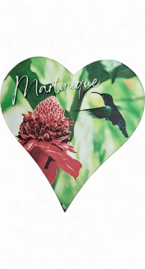 Magnet MDF Cœur - Rose de Porcelaine et Colibri