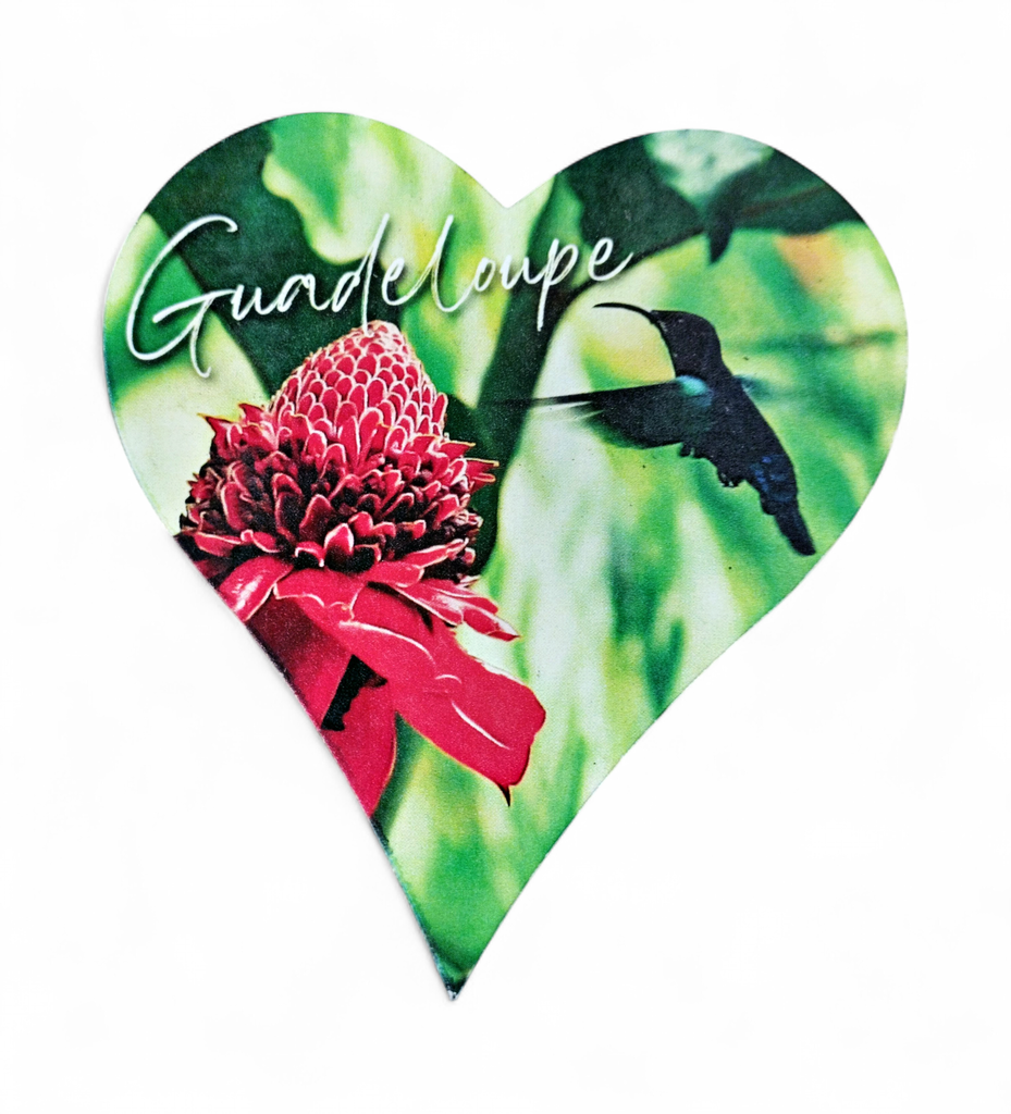 Magnet MDF Cœur - Rose de Porcelaine et Colibri