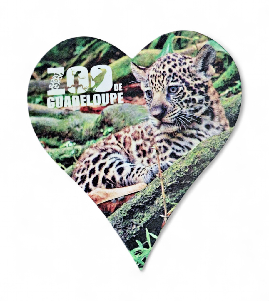 Magnet MDF Cœur - Bébé Jaguar  ZDG