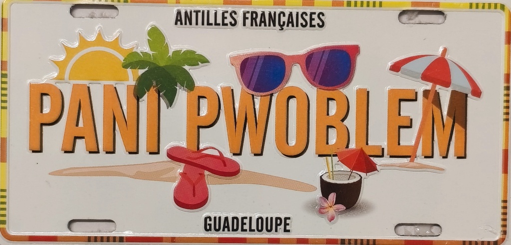 Magnet Plaque  - Pani Pwoblem