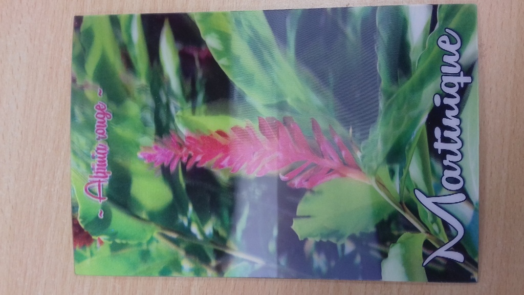 CP 10X15 MQ Aquarelle 16