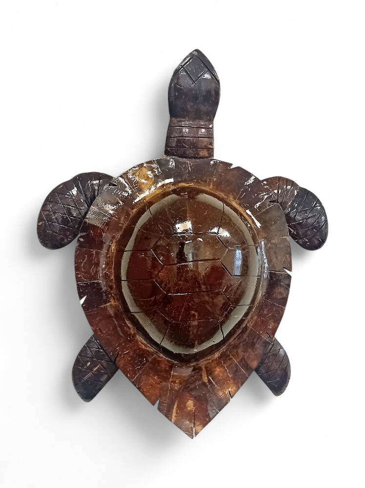 Tortue en coco de 28 cm