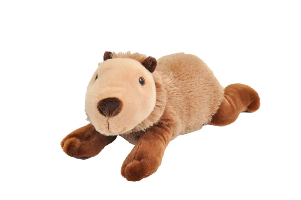 Ecokins Capybara