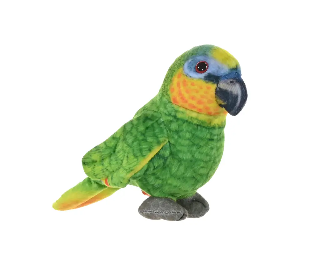 Rainforest orange winged Parrot