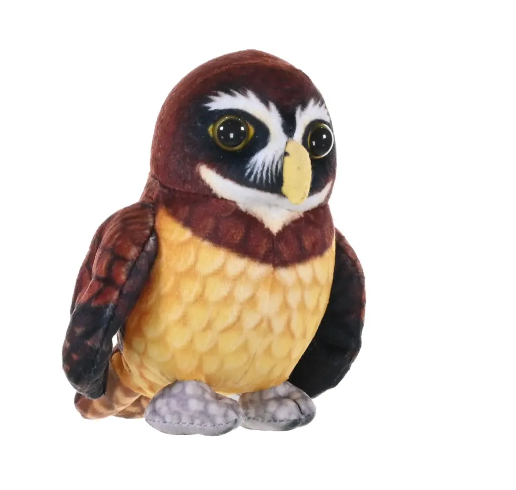 Rainforest spectacled Owl