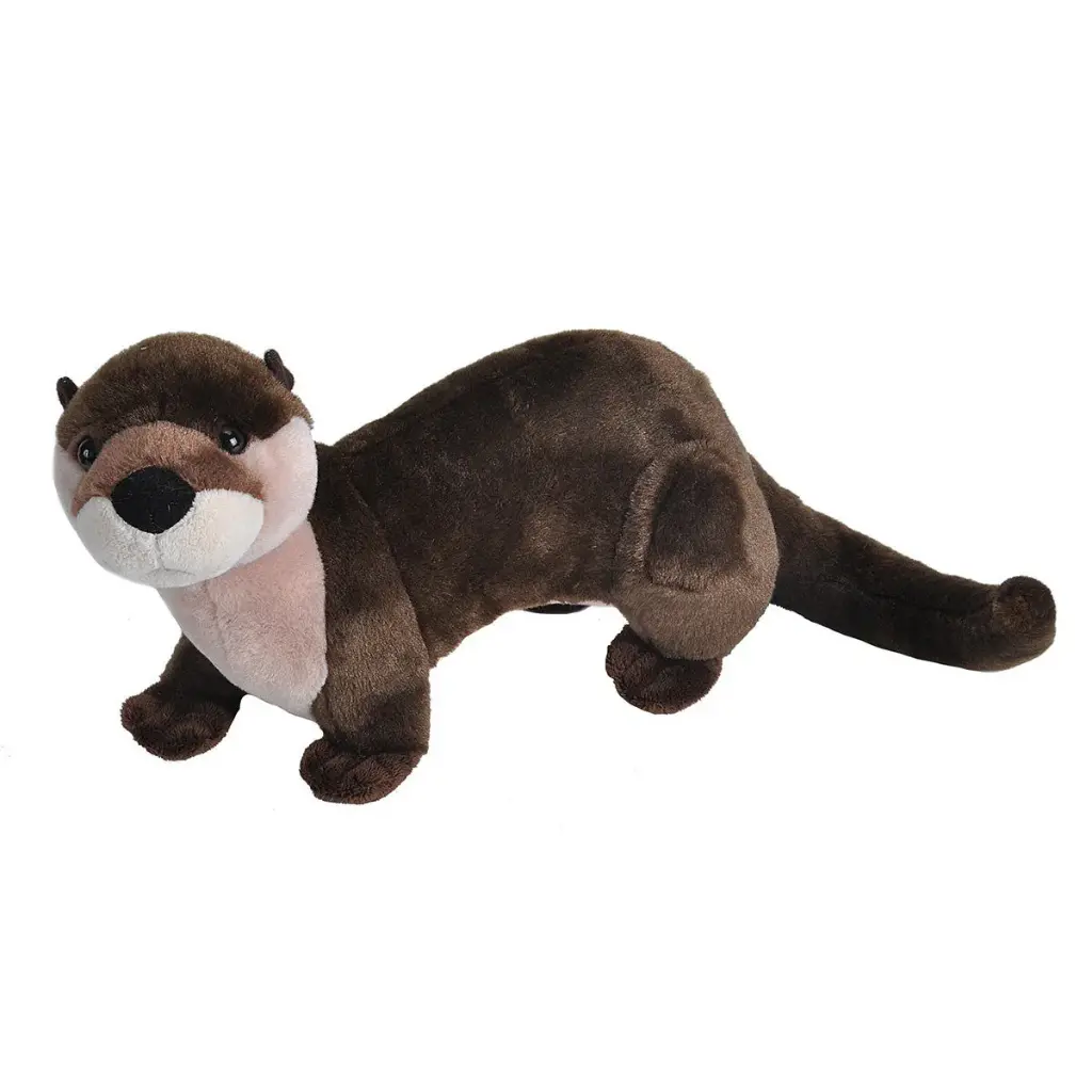 Ck River Otter