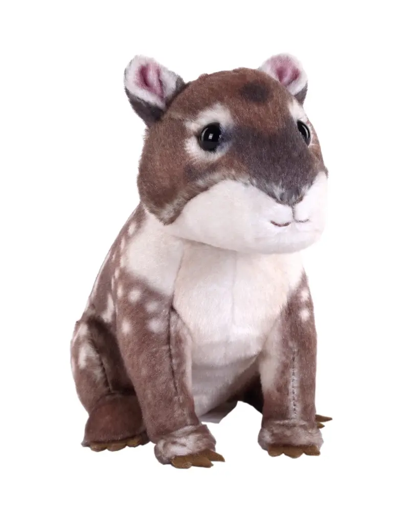 Splendors eco  Paca