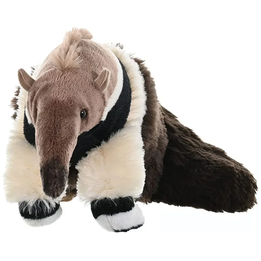 CK Anteater
