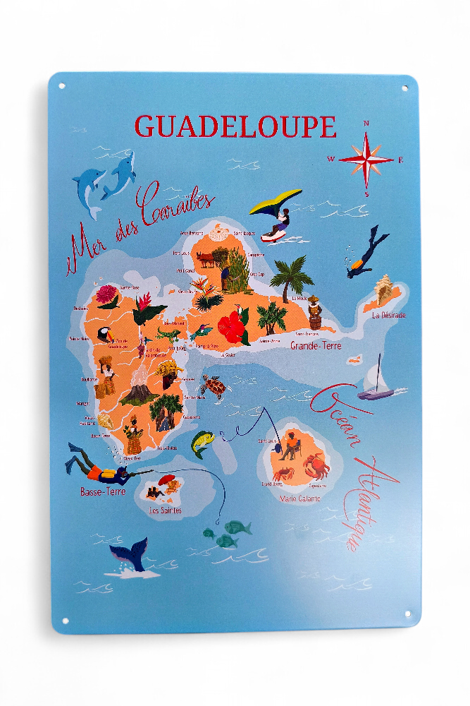[45143] Affiche Métal 20X30 - Carte illustration