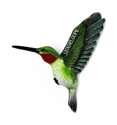 [15001] Magnet Resine Colibri