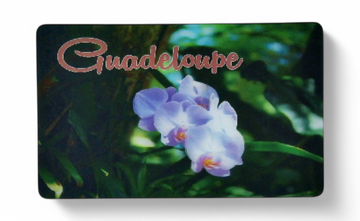 [15030] Magnet 3D  Orchidee