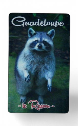 [15031] Magnet 3D  Racoon