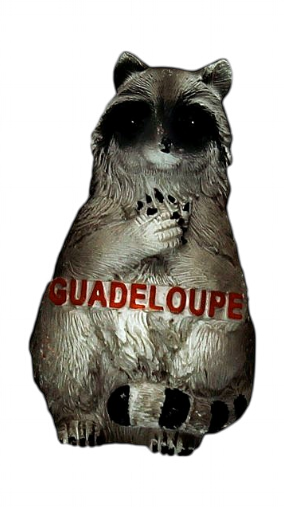 [15034] Magnet Racoon Petit