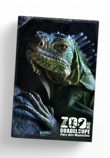 [15067] Magnet Image PDM Iguane