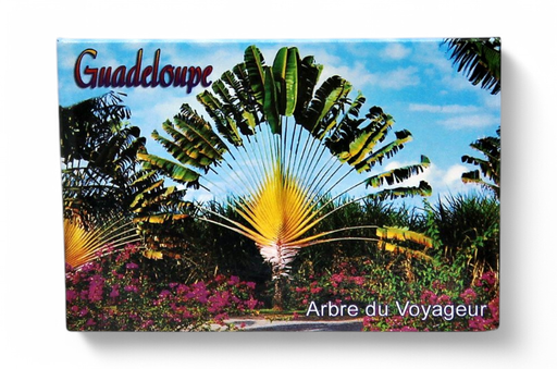 [15071] Magnet Image GP Arbre Du Voyageur