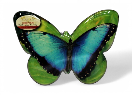 [15105] Magnet Epoxy Papillon Papillon