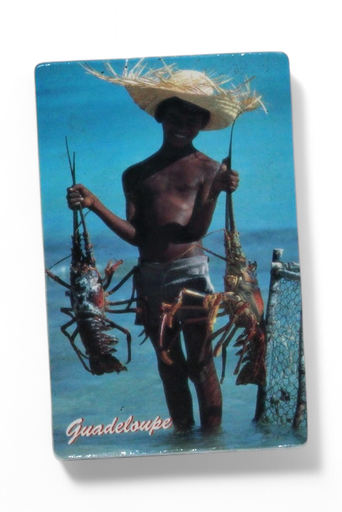 [15121] LP Magnet Photo