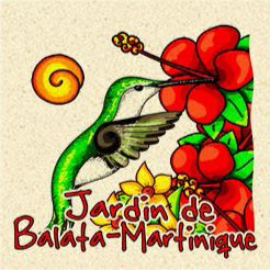 [15130] Magnet Sable JDB Colibri+Hibiscus