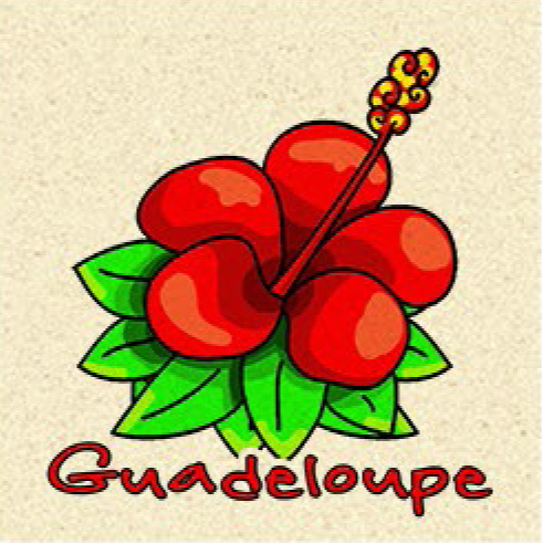 [15157] Magnet Sable Hibiscus Rouge Cartoon