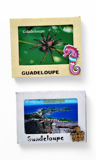 [15168] Magnet Bois Photo