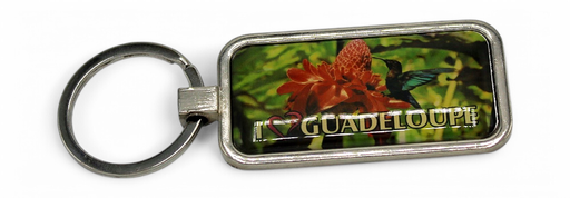 [16031] Porte-Clé Metal Rectangle Rose + Colibri