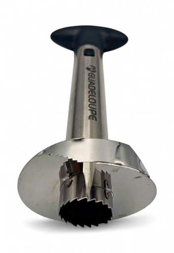 [31007] Decoupe Ananas