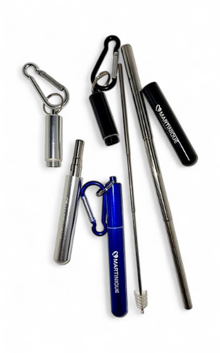 [31009] Paille Inox Amovible