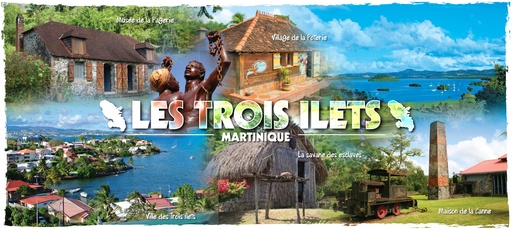 [34022] Mug Imprimé Trois Ilets MQ