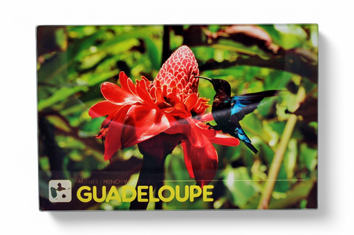 [35006] Planche à Decouper Rose+Colibri