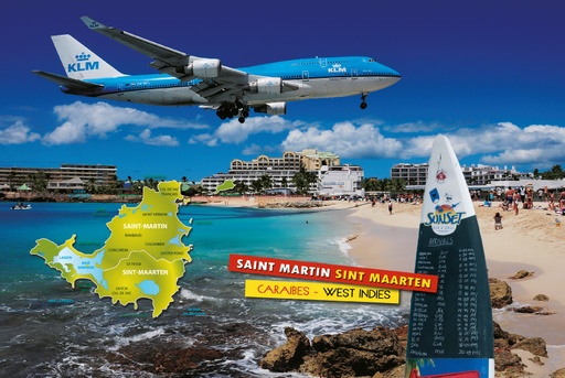 [35016] Planche à Decouper SXM