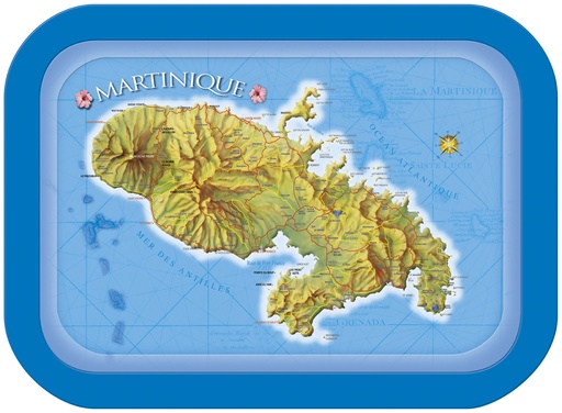 [35022] Plateau Métal Carte