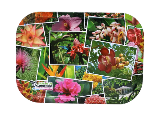 [35025] Plateau Métal JDV+Fleur GP