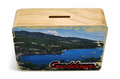 [42015] Tirelire Photo (14,5Cm)