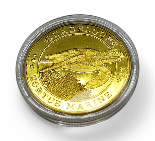 [44002] Médaille Tortue