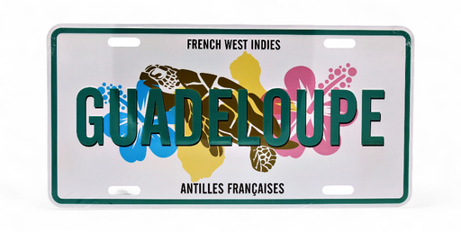 [45004] Plaque 15X30 Tortue