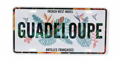 [45007] Plaque 15X30 Tropical