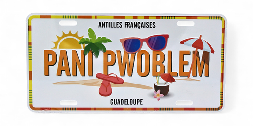 [45009] Plaque 15X30 Pani Pwoblem