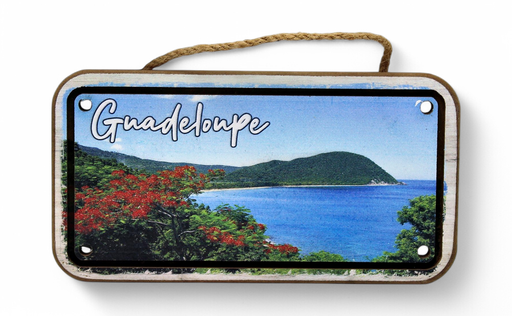 [45072] Cadre Photo (21Cm)