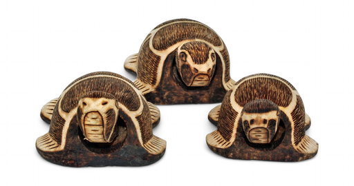 [46015] Tortue Set De 3