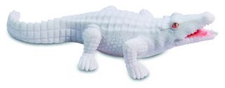 [53001] Crocodile Blanc 11Cm