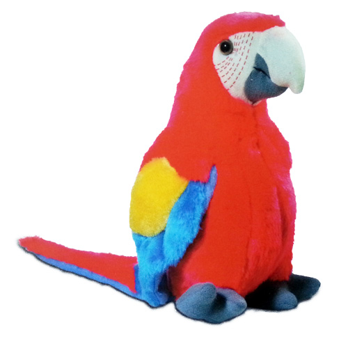 [53018] Perroquet