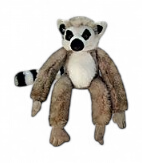[53113] Lemur