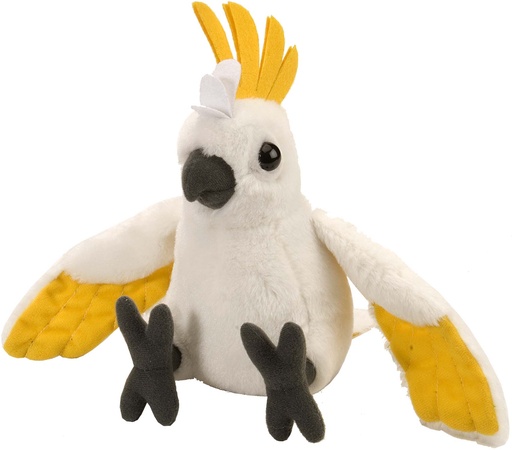 [53131] Ck-Mini Cockatoo Sulph 8