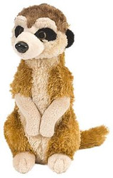 [53134] Ck Mini Meerkat 20CM