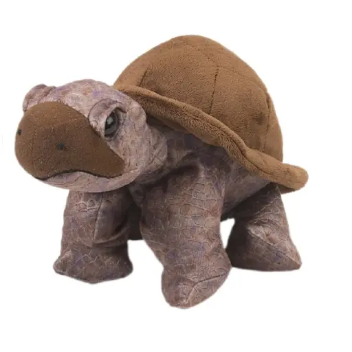 [53146] Ck Tortoise