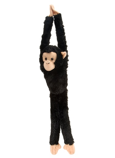 [53157] Hanging 20  Chimpanzee