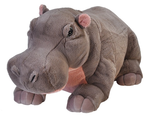 [53169] Ck Hippo Jumbo