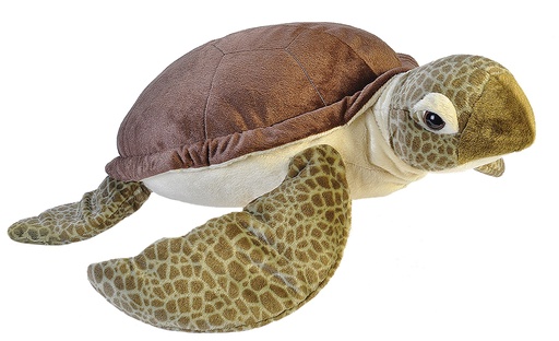 [53170] Ck Jumbo Green Sea Turtle