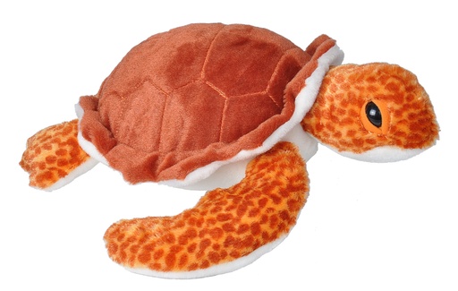 [53181] Ck Loggerhead Sea Turtle