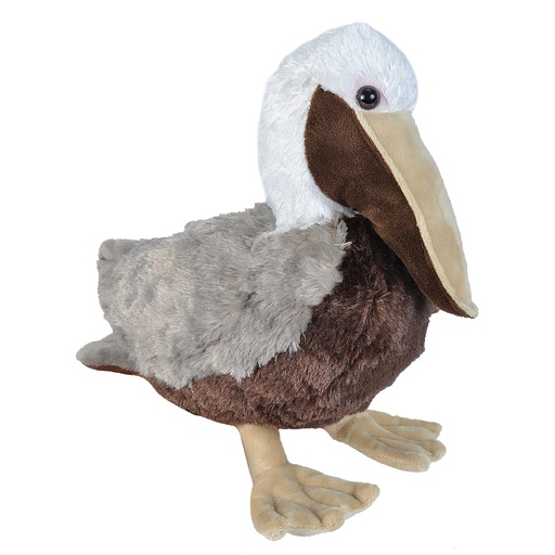 [53182] Ck Brown Pelican